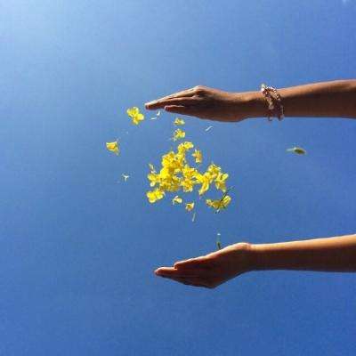 澳门一码一肖一特一中下载手机版